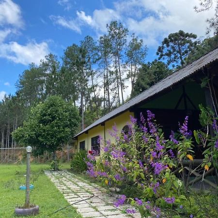 Sitio Cachoeirinha - Araguaia Marechal Floriano Eksteriør bilde